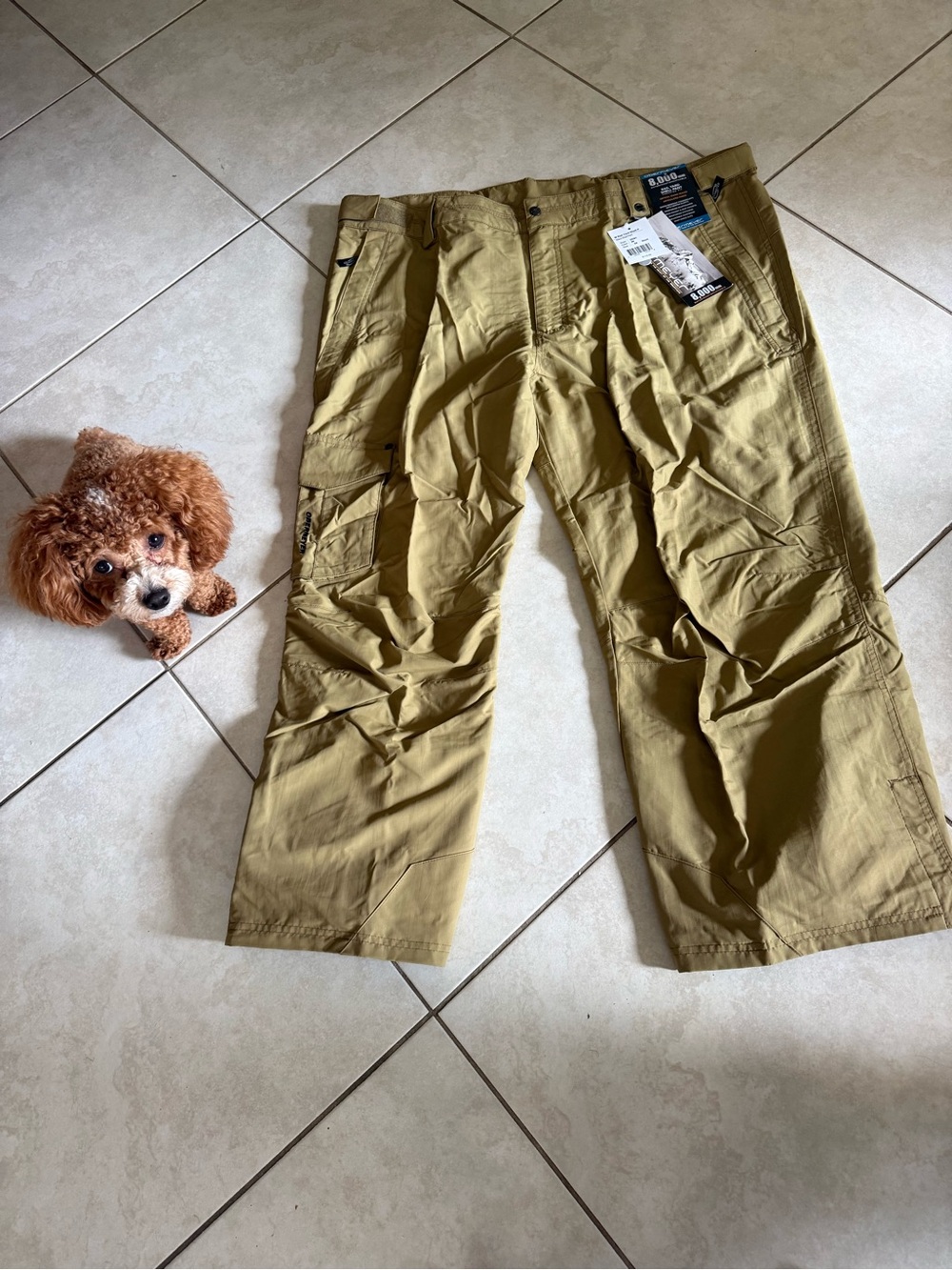 Obermeyer Men's Cargo Pants in Khaki Green